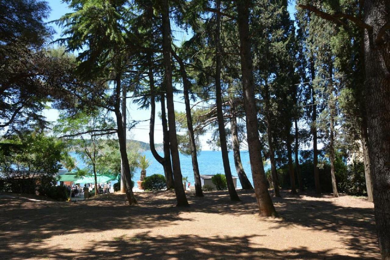 Vila Magenta, Terrace, Free Parking Izola Dış mekan fotoğraf